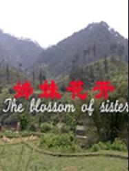 姊妹花开(全集)